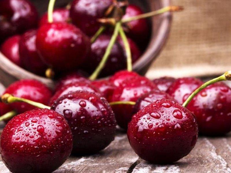 Вишня купить саженцы из питомника в Жигулёвске